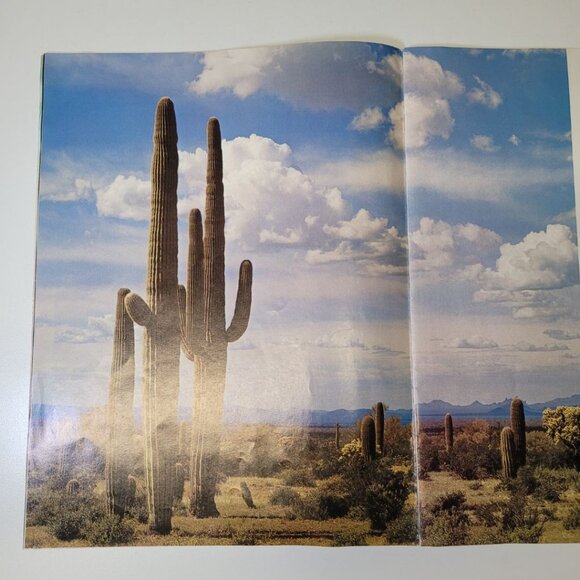 Arizona Highways December 1972 Holiday Seasons Greetings Christmas Snow Cactus - Picture 11 of 15